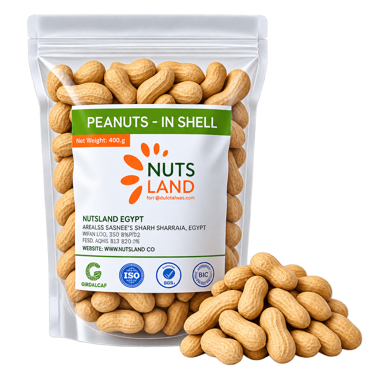 Peanuts in Shell